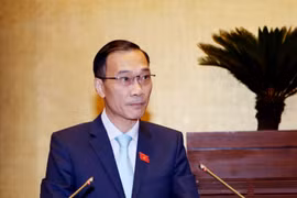 国会经济委员会主任武鸿青在会上发表讲话。（图片来源：越通社）