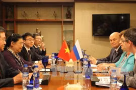 国会副主席丛氏放一行同俄罗斯代表团团长、国家杜马副主席奥莉加叶皮凡诺娃举行双边会晤。