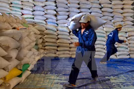 附图。（图片来源：越通社）