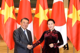 越南国会主席阮氏金银（右）与日本国会众议院议长大岛理森握手。（图片来源：越通社）