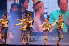 老挝艺术代表团在越南清化省进行演出。（图片来源：越通社） 