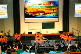 第三届全欧越南学生青年夏令营闭幕仪式上的表演节目。