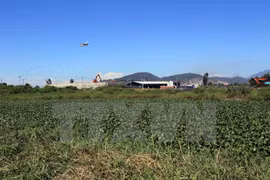 美国协助越南开展迪奥辛污染清除项目