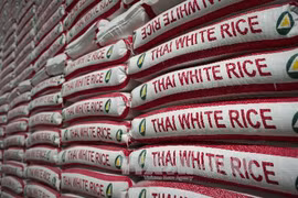 附图（图片来源于网络）