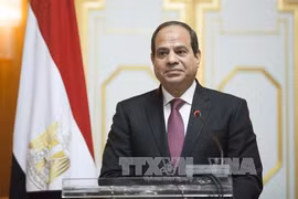 埃及总统即将对越南进行国事访问