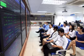 附图。（图片来源：越通社）
