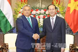 越南国家主席陈大光会见匈牙利总理维克多•奥尔班。(图片来源：越通社）