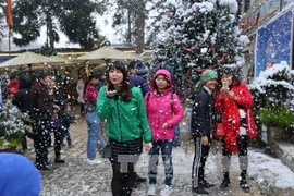 2017年沙巴冬日节：探索沙巴雪花