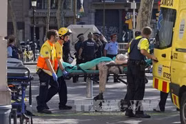 越南领导人就西班牙巴塞罗那恐怖袭击事件向西班牙领导人致慰问电