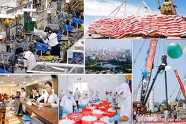 关于越南发展成就的两场座谈会即将于2018年1月上旬举行