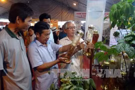 所展示的玉玲人参酒颇受参展者的眼球。（图片来源：越通社） 