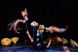 越南优秀艺人胡氏水仙的一个表演节目。（图片来源：越南人民报）