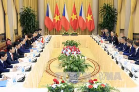 越南国家主席陈大光与捷克总统米洛什·泽曼举行会谈。（图片来源：越通社）