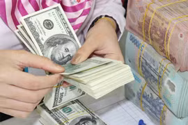 附图（图片来源：因特网）