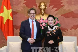 越南国会主席阮氏金银与瑞典驻越大使佩雷里克•霍格贝尔格。