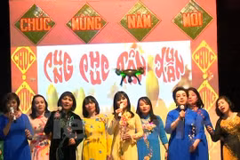 旅居捷克越南人举办迎春文艺表演活动（图片来源：越通社）