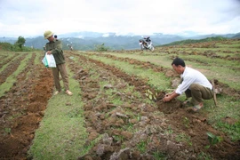 莱州边境地区人民努力做好新农村建设工作