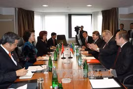 越南国会主席阮氏金银会见捷克-越南友好协会主席马塞尔•温特。（图片来源：越通社）