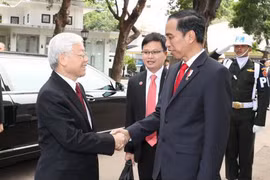 阮富仲总书记与印尼总统佐科·维多多握手。（图片来源：越通社）