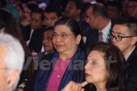 越共中央政治局委员、越南国会常务副主席丛氏放出席大会。