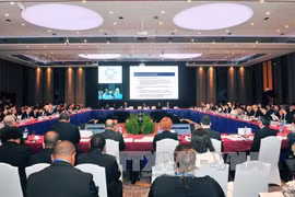 2017年APEC第三次高官会场景。（图片来源：越通社）