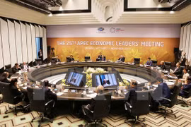 国际舆论：APEC各成员经济体领导人把人民和企业放在中心位置