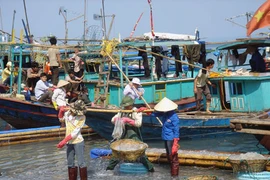 广宁姑苏的海蜇捕捞业