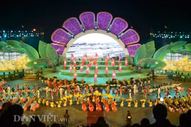 2017年第七届大叻花卉节落下帷幕