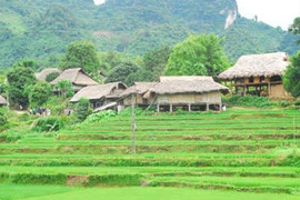 莱州省风景