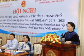 阮氏金银主席：掌握地方实情 提高人民议会决议贯彻执行质量效益 