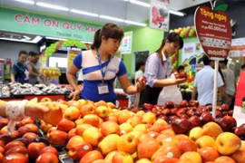 附图。（图片来源：越通社） 