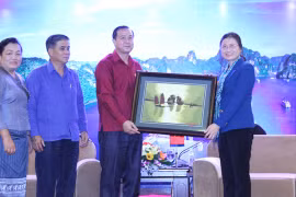 老挝三省青年代表团访问广宁省