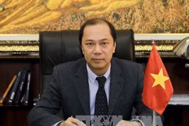 越南外交部副部长阮国勇