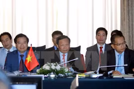 越南代表出席会议。