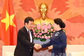 日本民进党代表团对越南进行访问