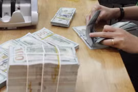 附图。（图片来源：越通社）