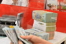 ​附图。（图片来源：越通社）