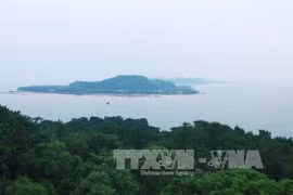 海防市图山郡绕岛发布绕岛（Hòn Dấu）。（图片来源：越通社） 