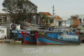 第十四号台风即将登陆越南 中央预防自然灾害指导委员会下发关于抗暴的通知