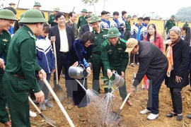 邓氏玉盛副主席出席和平省 2017丁酉年新春植树节启动仪式（图片来源：越通社）