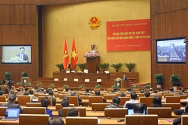 加大监督检查力度 推动越共十二届六中全会各项决议落到实处