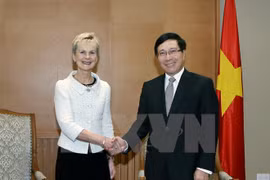 越南政府副总理兼外交部长范平明（右）与瑞典东约特兰省省长尼尔森​ （左）