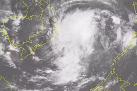越南政府总理下达公函 指导有关省市和部委展开应对第14号台风工作