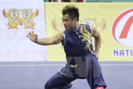 越南武术运动员范国庆获得银牌。（图片来源：越通社）