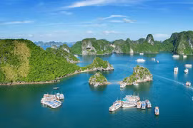 附图（图片来源于网络）