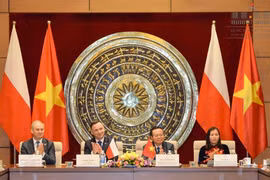 进一步加强越南国会和波兰议会友好议员小组的合作