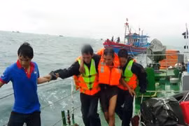 附图。（图片来源于网络）