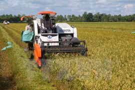 附图（图片来源：越通社）