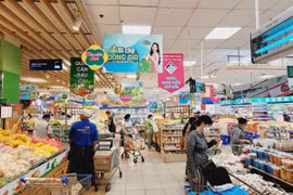 附图 图自越通社