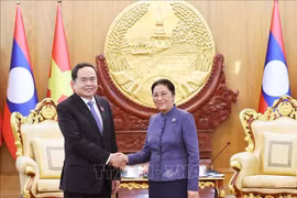 越南国会主席陈青敏在首都万象会见老挝国家副主席、原国会主席巴妮·雅陶都。图自越通社
